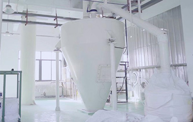 washing powder production programs
